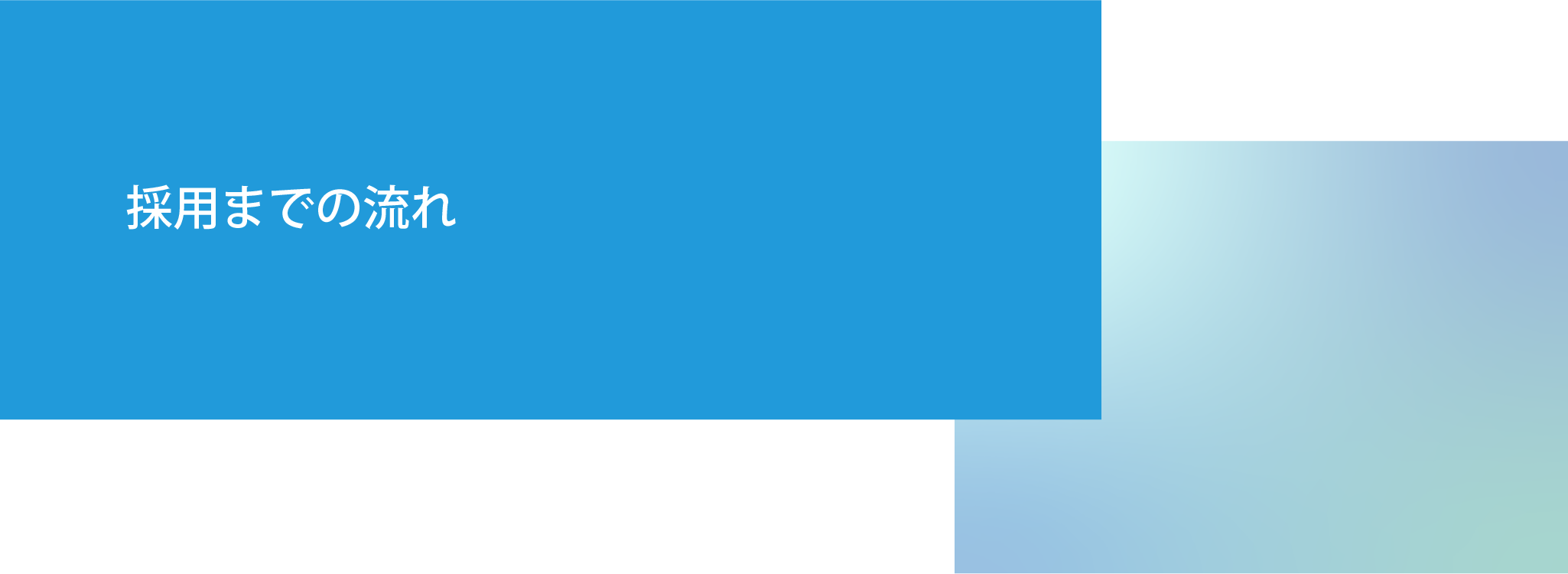 採用までの流れ